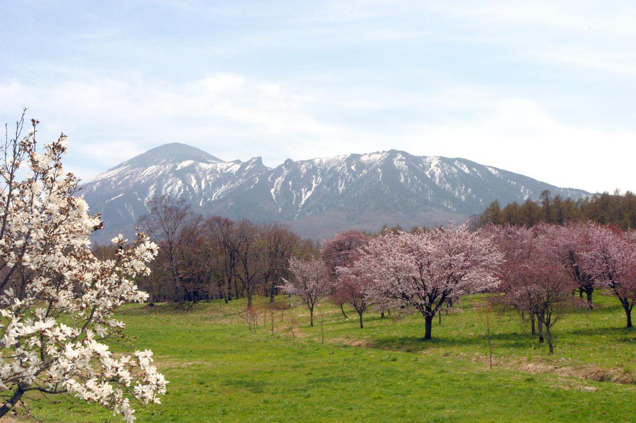 八幡平マウンテンホテル&スパ 旅館